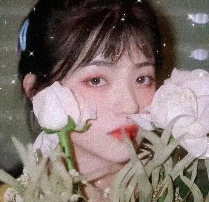 百日红